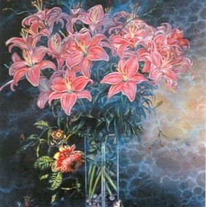 Flemish Illusion 20 Limited Edition Lithographs